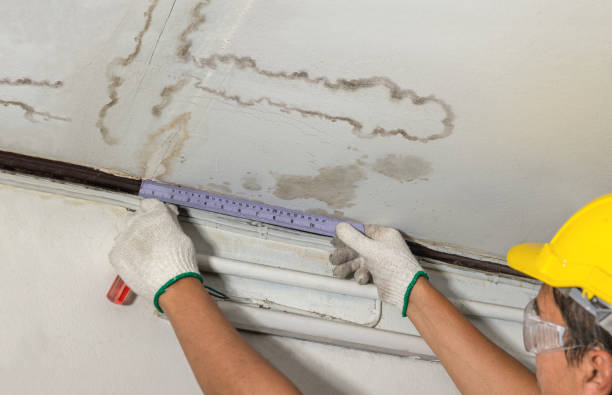 Reliable Water Damage contractor in Odessa, MO by Water Damage Irwin